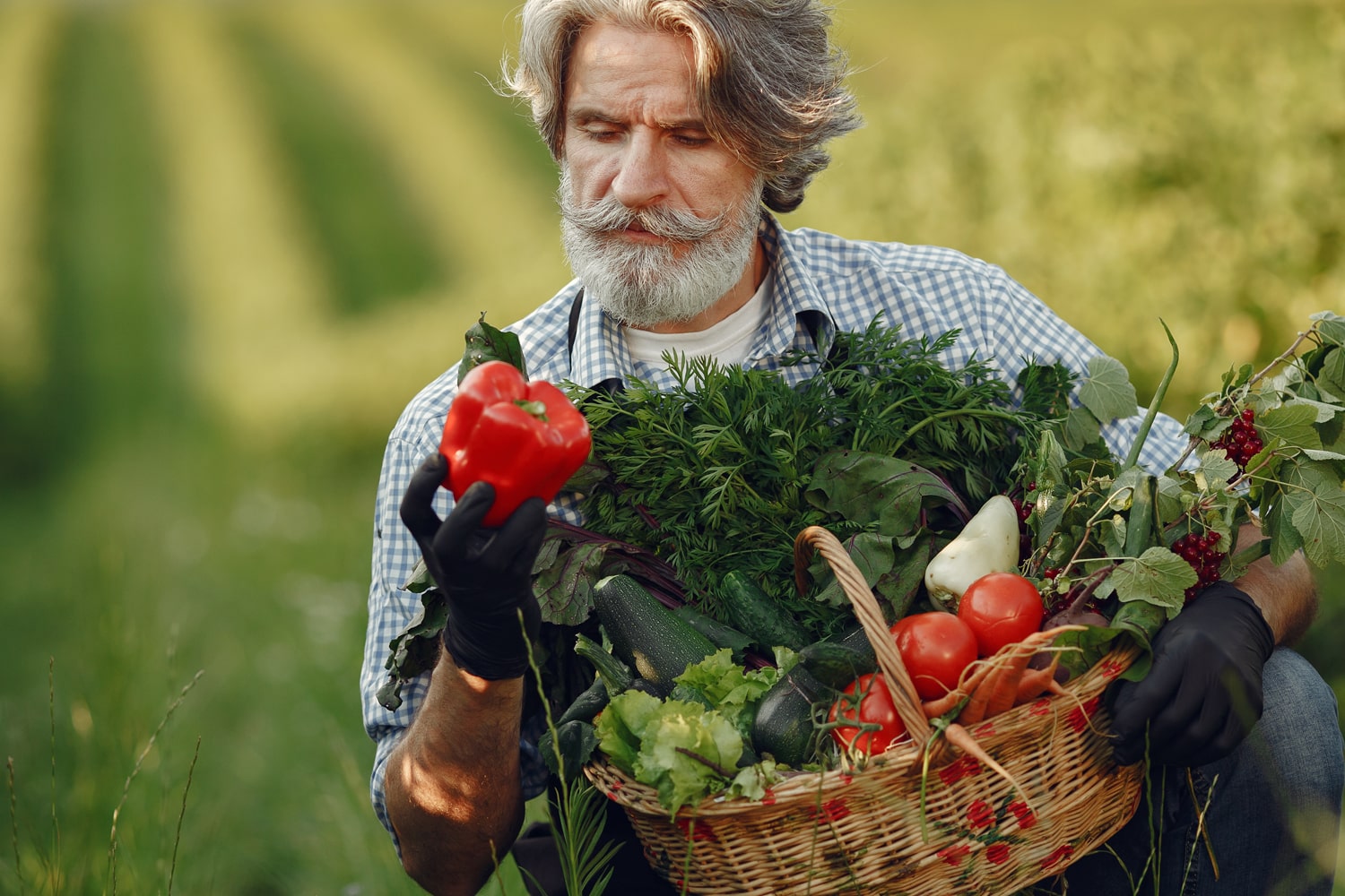 old tomato farmer