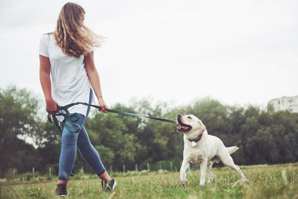 5 Questions You Might Be Afraid To Ask Your Pet Sitter Advantage