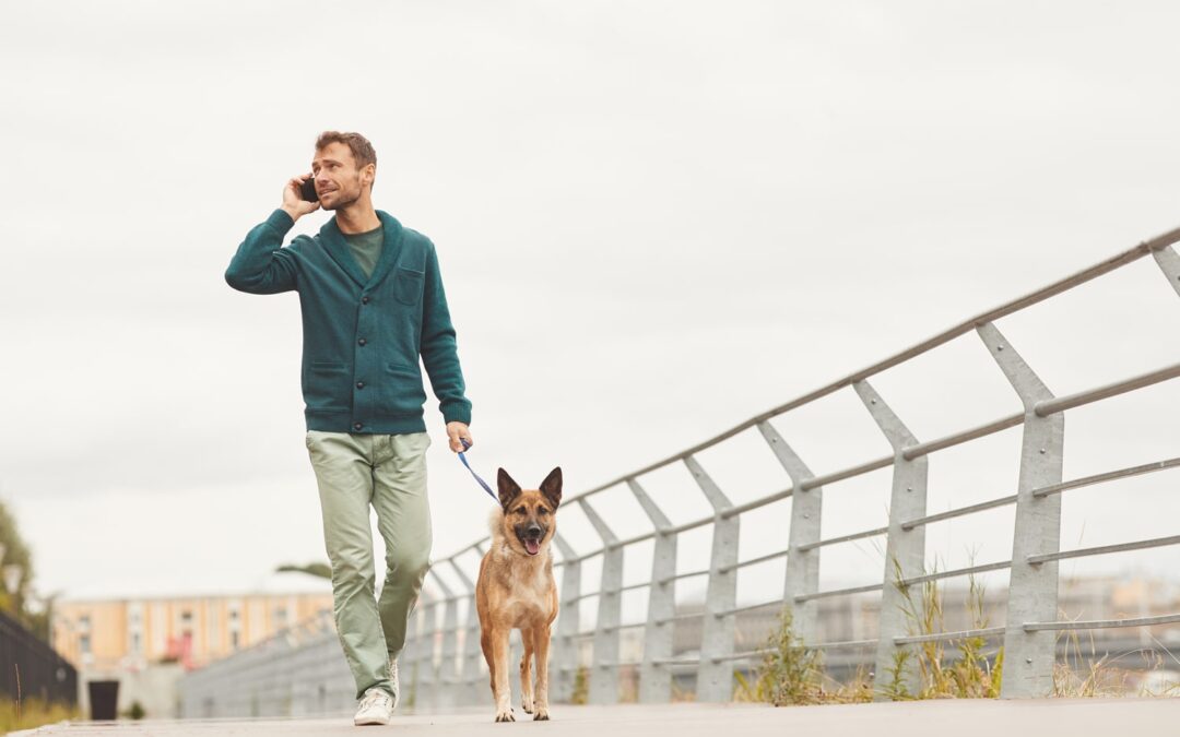 Benefits of Hiring a Pet Sitter