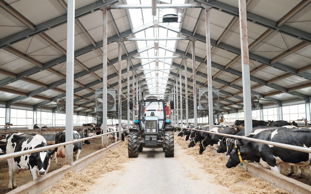 6 Mistakes to Avoid When Choosing Farm Insurance Policies
