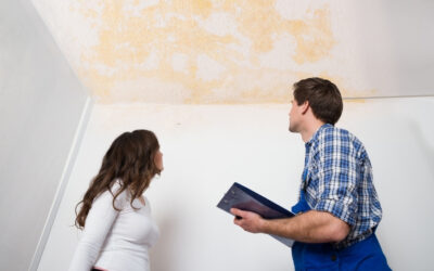 Signs That Your Plumbing Has Problems