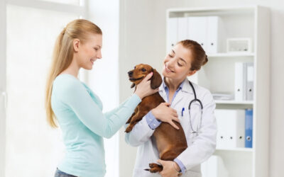 The Difference Between A Pet Care Employee VS Independent Contractor