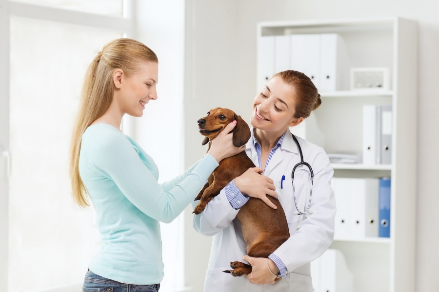 veterinarian carrying a dog happily with woman petting the dog