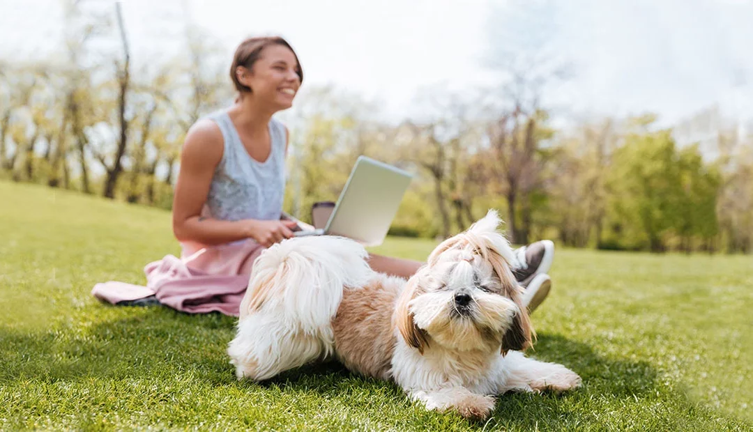 The Importance of Reading the Fine Print in Pet Insurance Policies