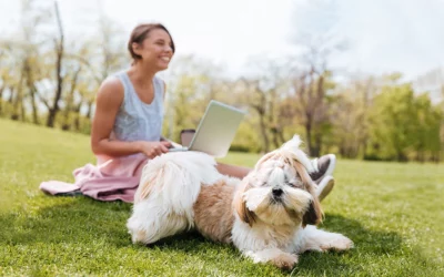 The Importance of Reading the Fine Print in Pet Insurance Policies