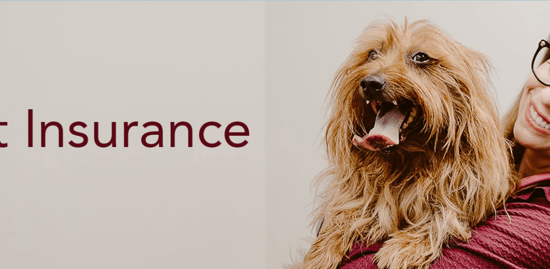 The Benefits of Pet Insurance Coverage: Protecting Your Furry Friend and Your Wallet