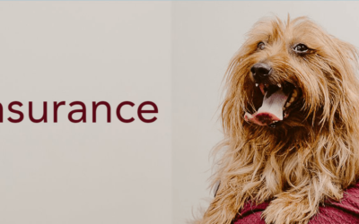 The Benefits of Pet Insurance: Protecting Your Furry Friend and Your Wallet