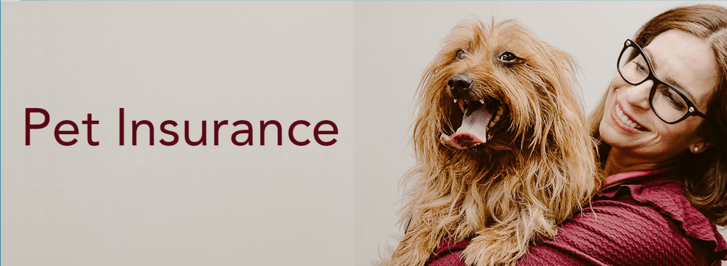 Pet Insurance, Insurance, Personal Pet Insurance, Pet insurance benefits,