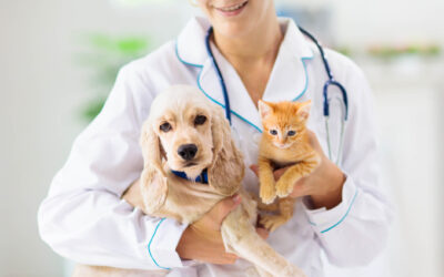 Types of Coverage for Pet Care Professionals’ Insurance