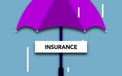 Umbrella Insurance for Pet Care Professionals: What It Is and Why You Need It
